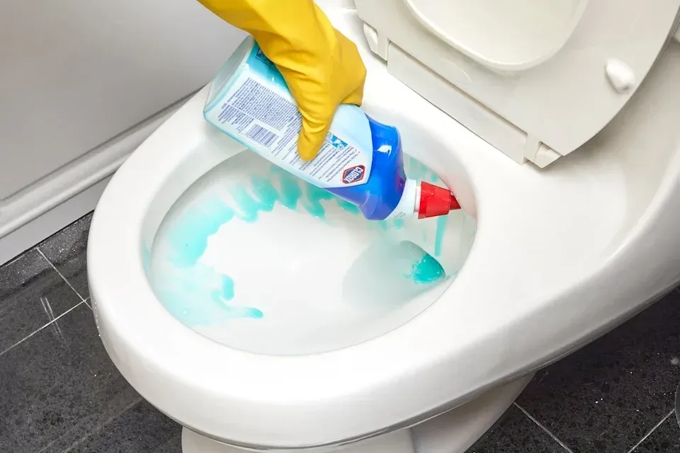 What Is the Golden Rule for Toilet Cleaning? Should You Tip House Cleaners?